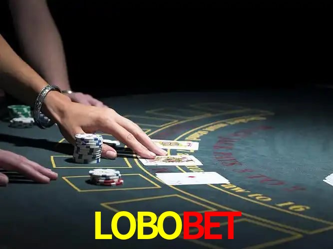 LOBOBET Curitiba - Statistics